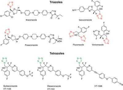 Assessment of the potential risk of oteseconazole and two other tetrazole antifungals to inhibit adrenal steroidogenesis and peripheral metabolism of corticosteroids